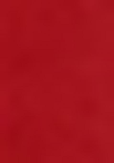 Red Embroidered Net Saree Set