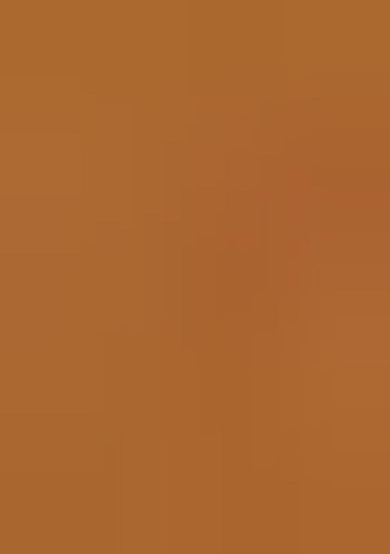 Brown Embellished Chiffon Saree Set