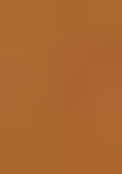 Brown Embellished Chiffon Saree Set