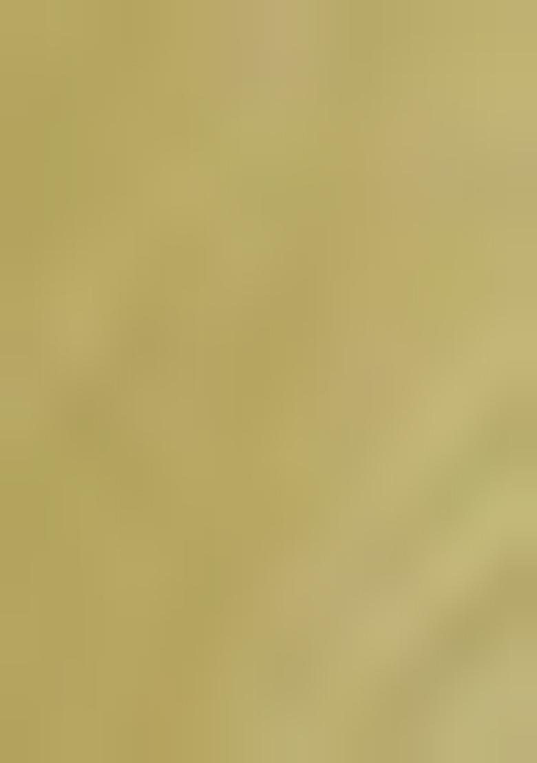 Pista Green Embellished Chiffon Saree Set