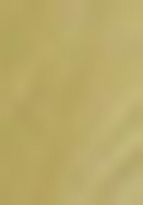 Pista Green Embellished Chiffon Saree Set