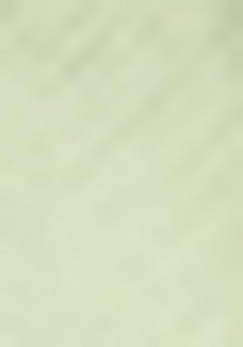 Pista Green Solid And Lace Border Chiffon Pre Stitched Saree