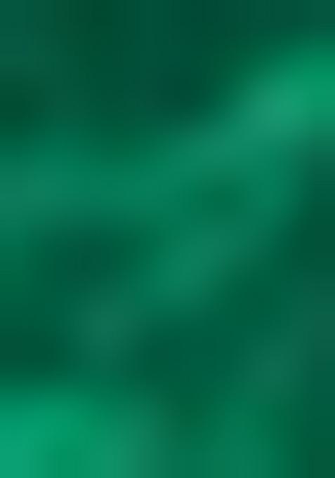 Green Solid And Lace Border Chiffon Pre Stitched Saree