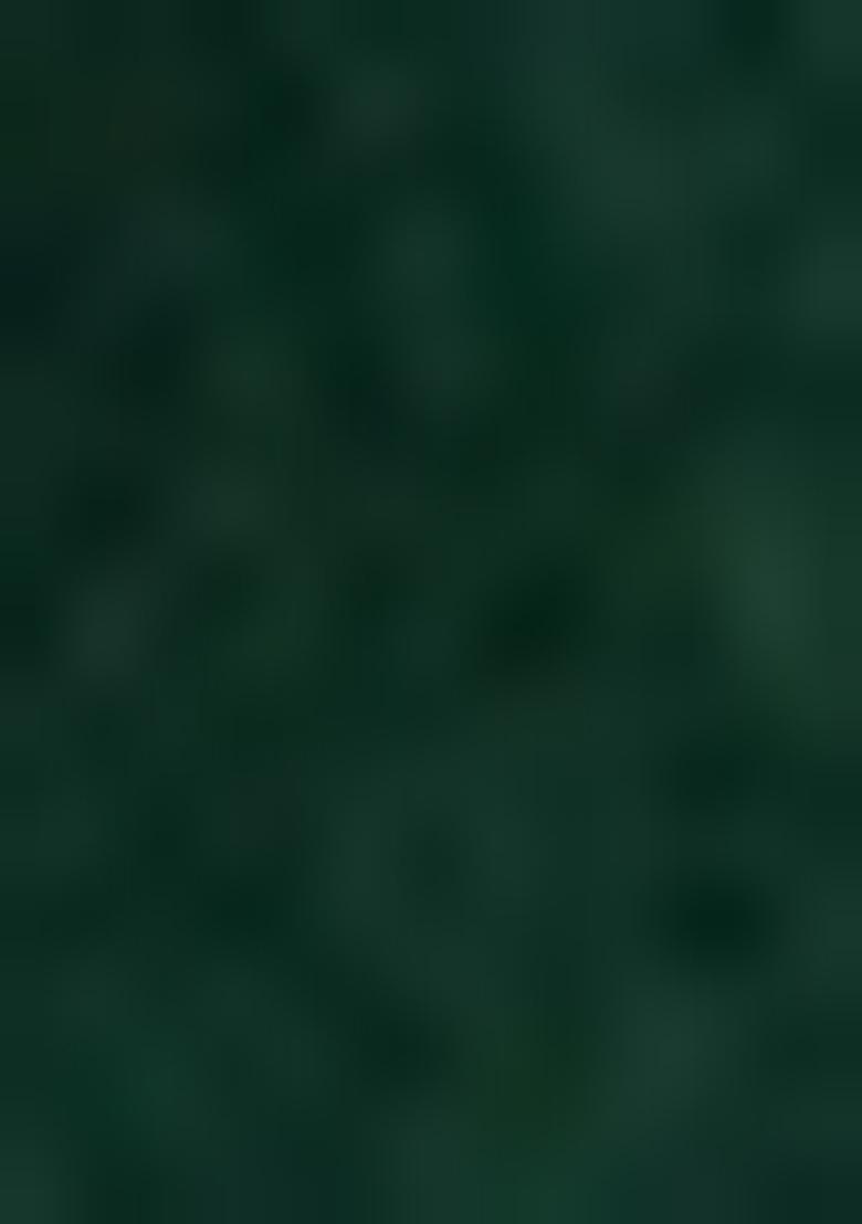 Dark Green Solid And Lace Border Chiffon Pre Stitched Saree