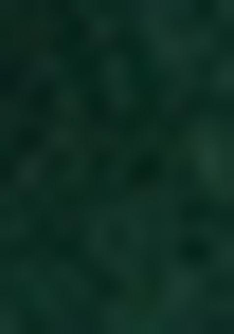 Dark Green Solid And Lace Border Chiffon Pre Stitched Saree