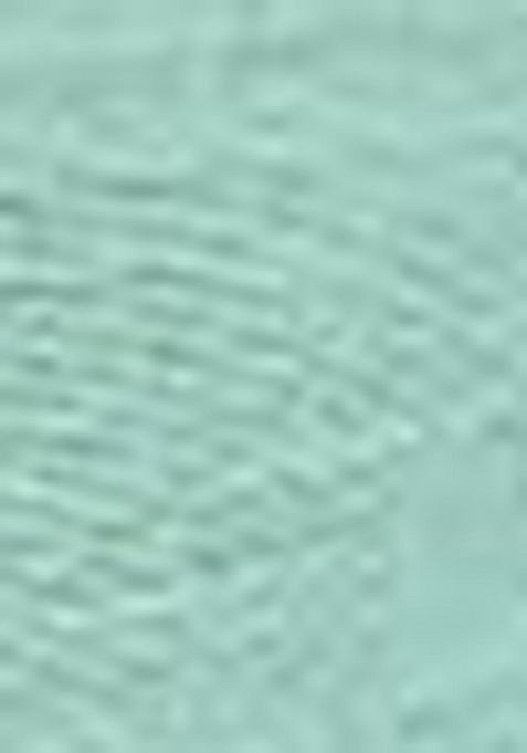 Sea Green Wevon Jacquard Designer, Printed Rich Silk Saree Set