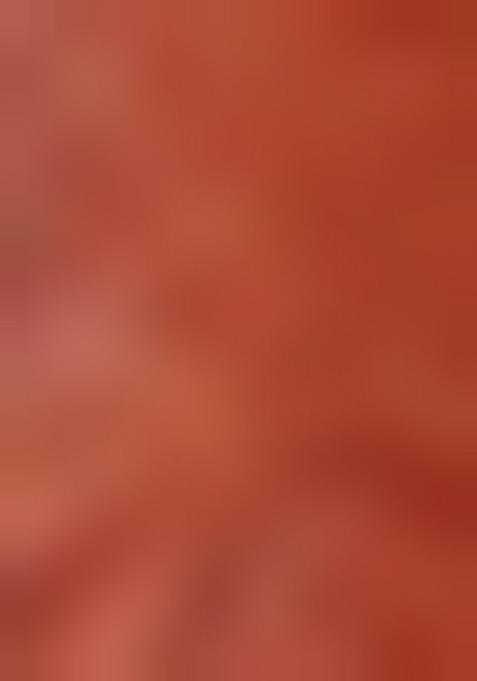 Rust Brown Embellished Beads And Stones Work Satin Saree Set