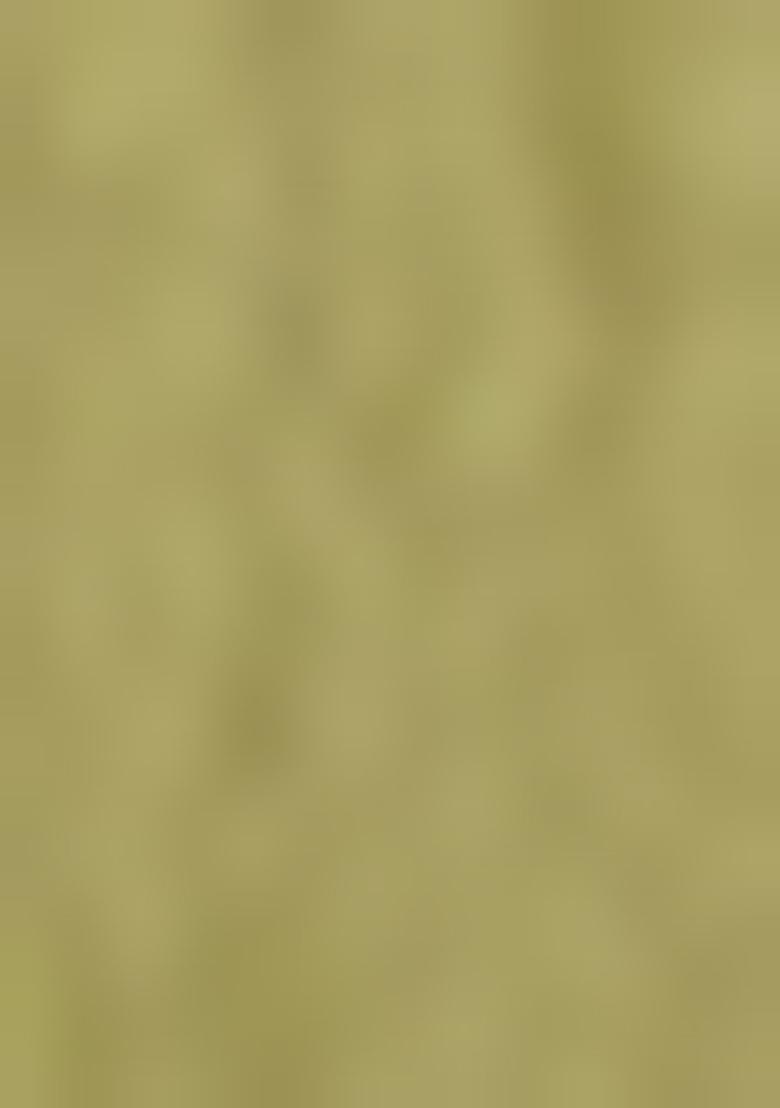 Green Embellished Sequinned Work Tissue Saree Set