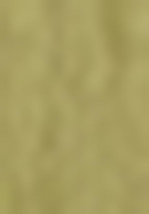 Green Embellished Sequinned Work Tissue Saree Set