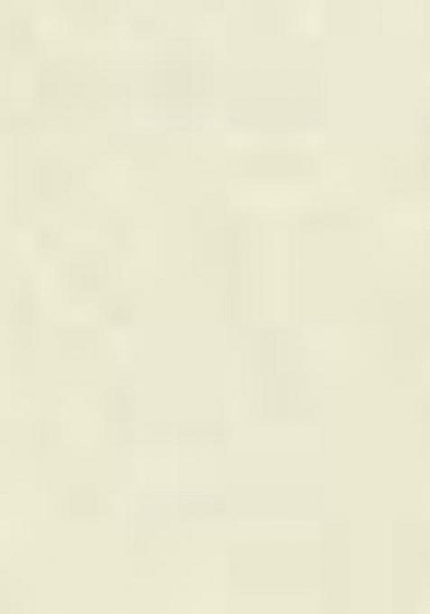 White Position Digital Foil Printed Crepe Silk Saree Set