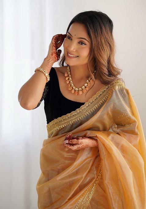 Gold Embroidered Twill Net Saree Set