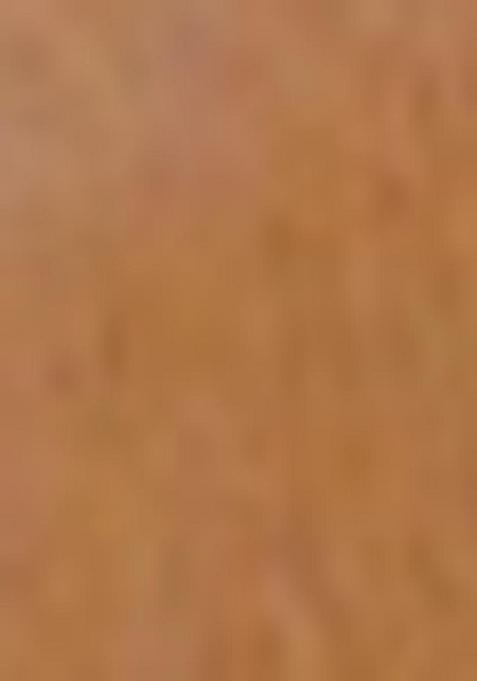 Gold Embroidered Twill Net Saree Set