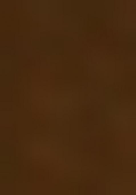 Mehandi Green Mirror Work Embellished Tissue Saree Set