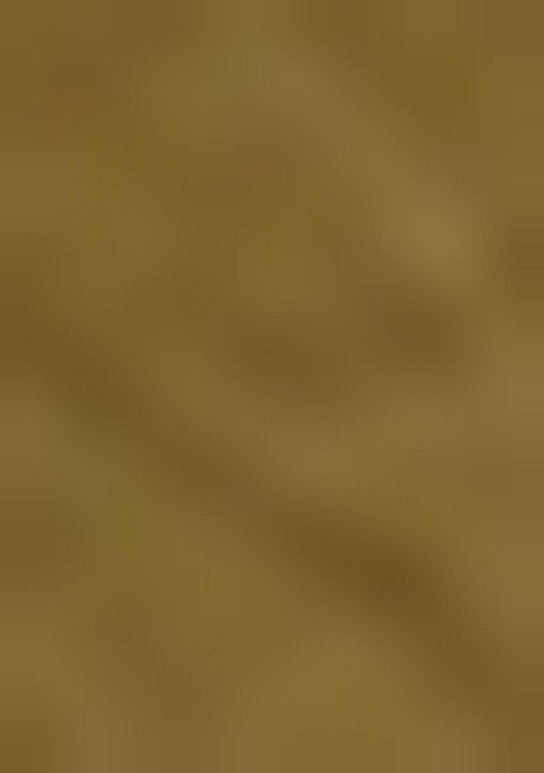 Metallic Green Embellished Sequinned Work Tissue Saree Set