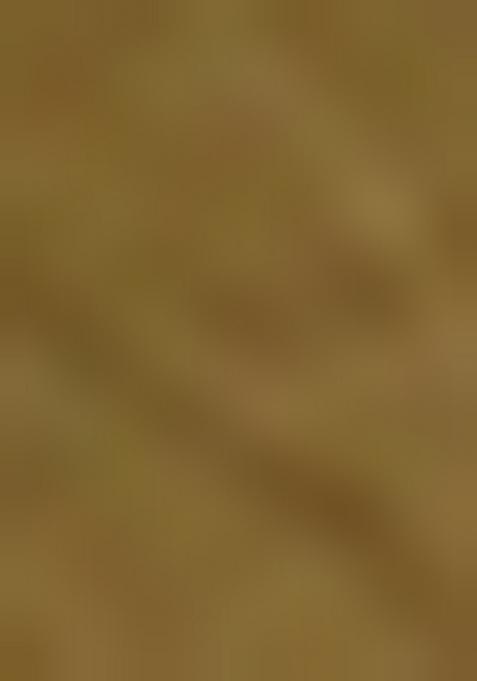 Metallic Green Embellished Sequinned Work Tissue Saree Set