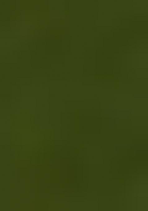 Mehandi Green Fancy Designer Silk Saree Set