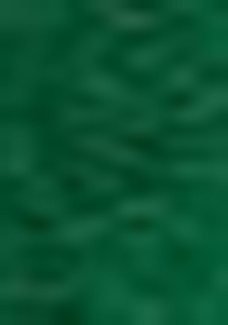 Green Floral Digital Print Silk Saree Set