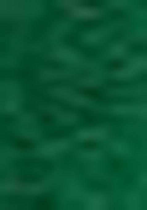 Green Floral Digital Print Silk Saree Set