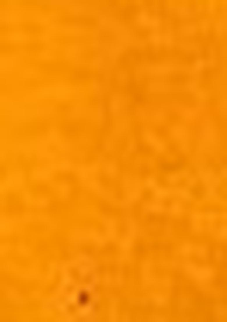 Yellow Floral Digital Print Silk Saree Set