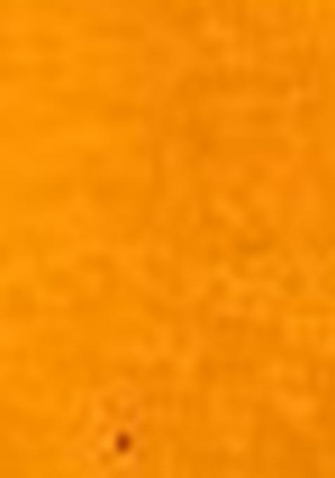 Yellow Floral Digital Print Silk Saree Set