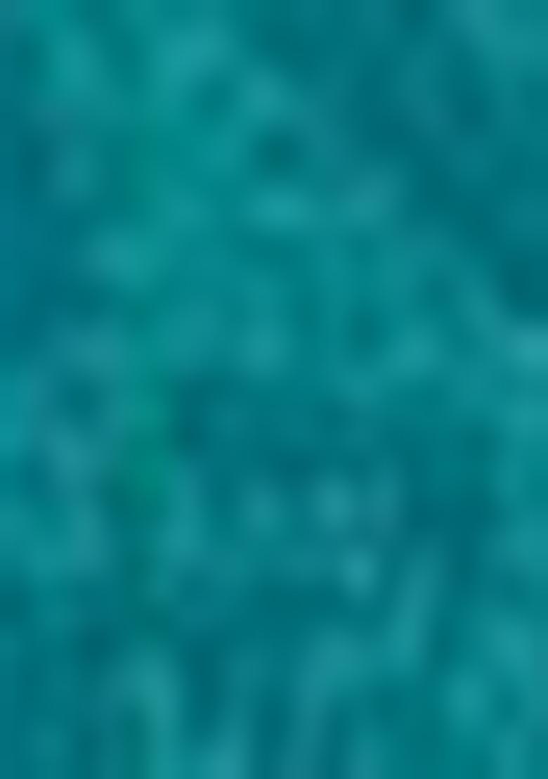 Green Floral Digital Print Silk Saree Set