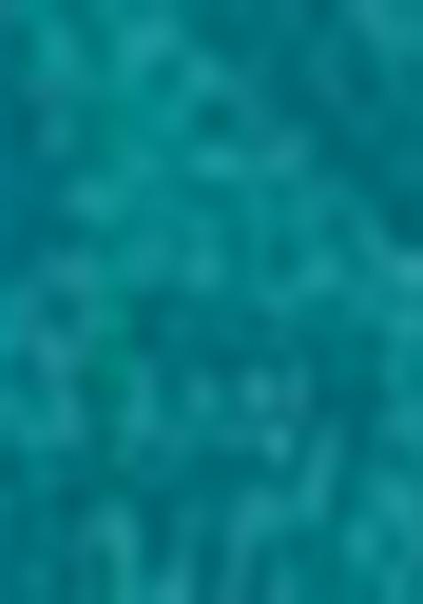 Green Floral Digital Print Silk Saree Set