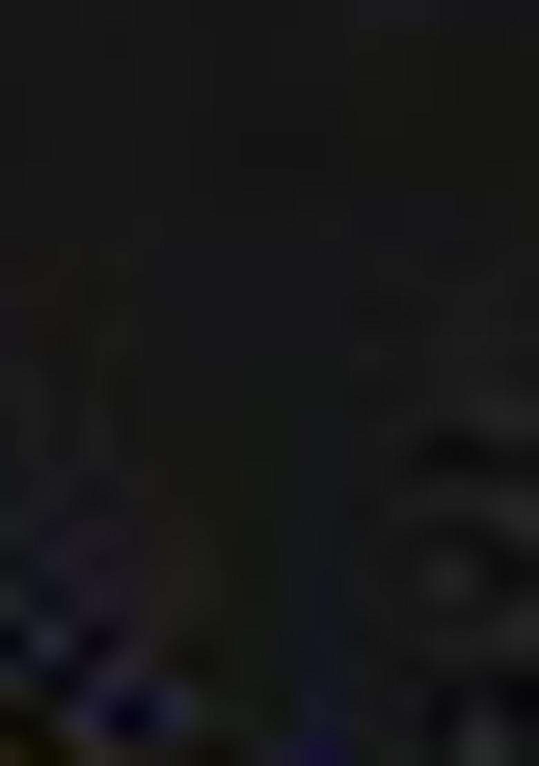 Black Bandhani Print Chiffon Saree Set