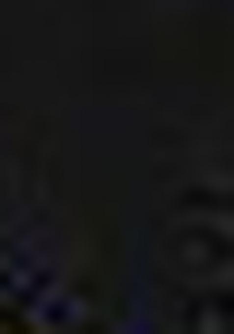 Black Bandhani Print Chiffon Saree Set