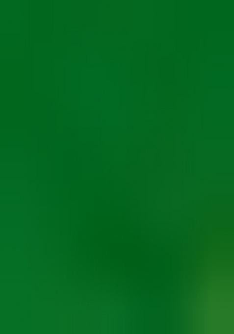 Green Bandhani Print Chiffon Saree Set