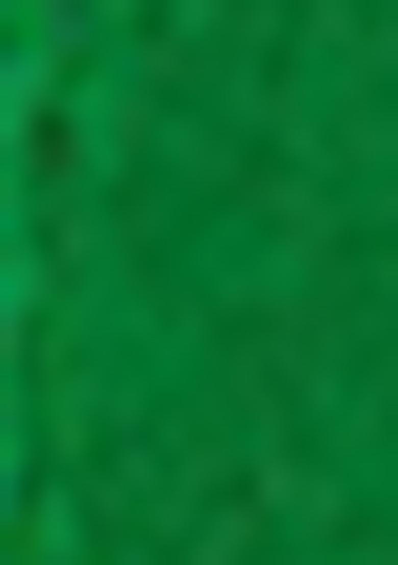 Green Bandhani Print Chiffon Saree Set