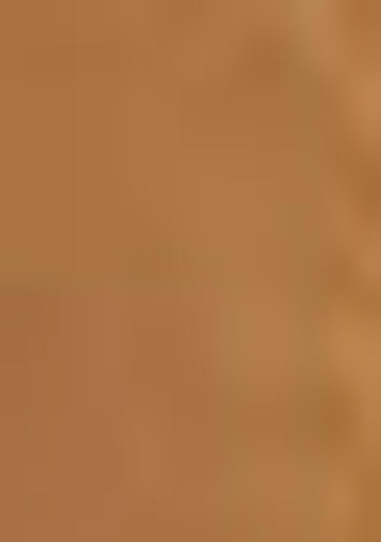 Golden Woven Art Silk Saree Set