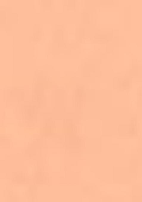 Brown Printed Georgette Saree Set