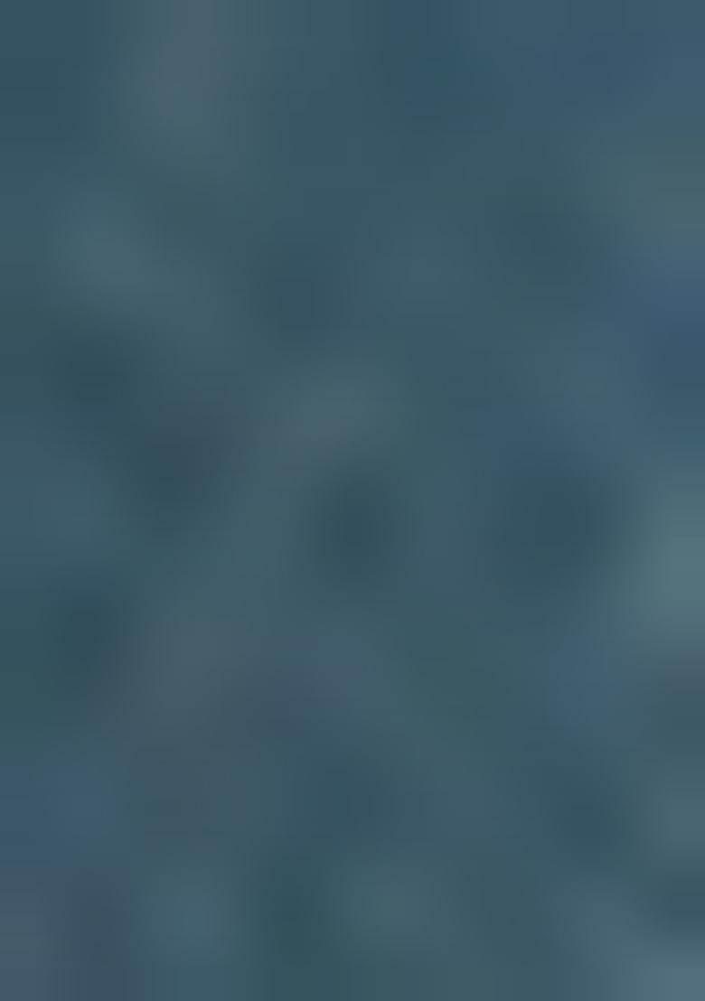 Peach Solid Silk Saree Set