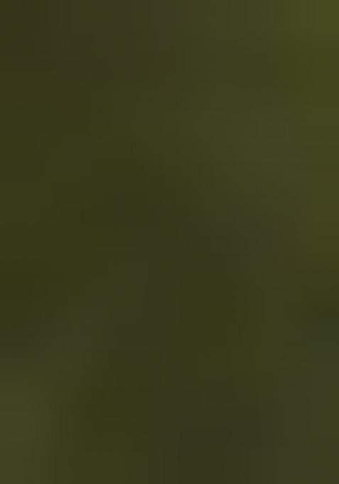 Green Solid Silk Saree Set