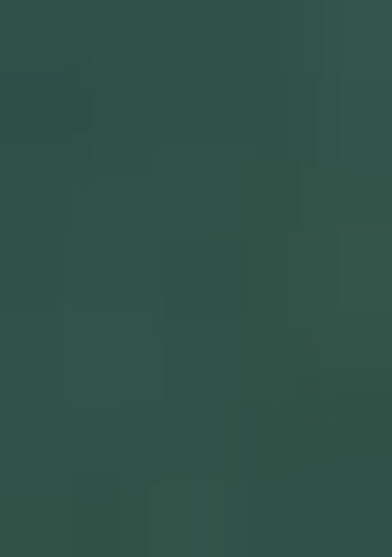 Green Solid Silk Saree Set