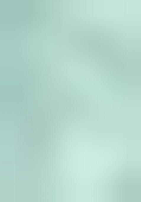 Blue Solid Tissu Net Saree Set