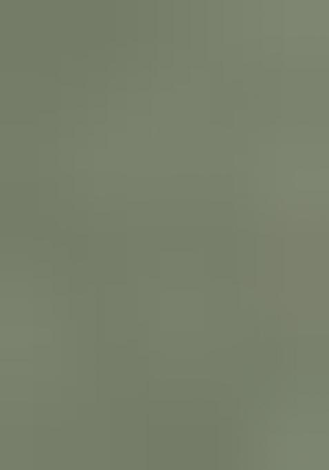 Green Solid Tissu Net Saree Set