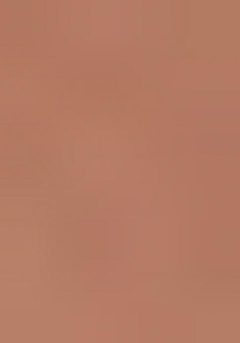 Brown Solid Tissu Net Saree Set