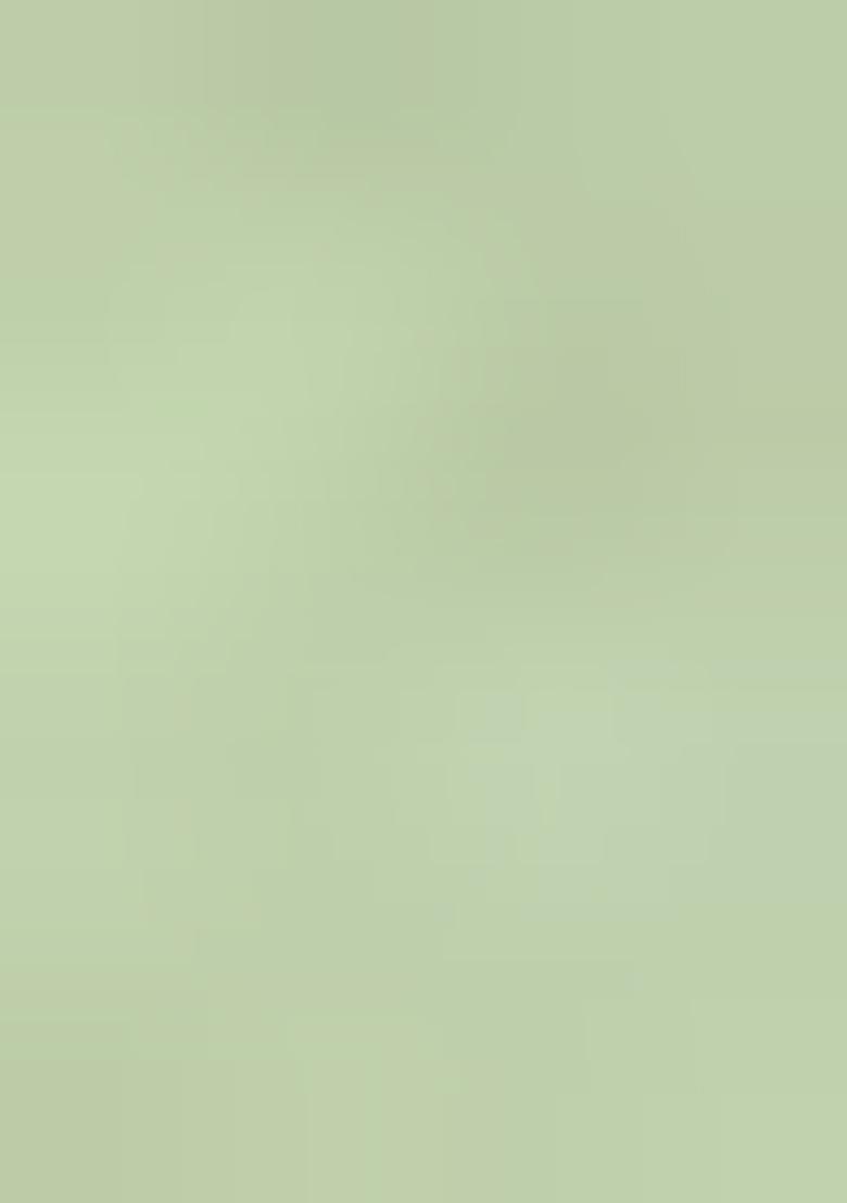 Green Solid Tissu Net Saree Set