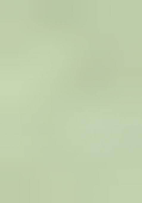 Green Solid Tissu Net Saree Set