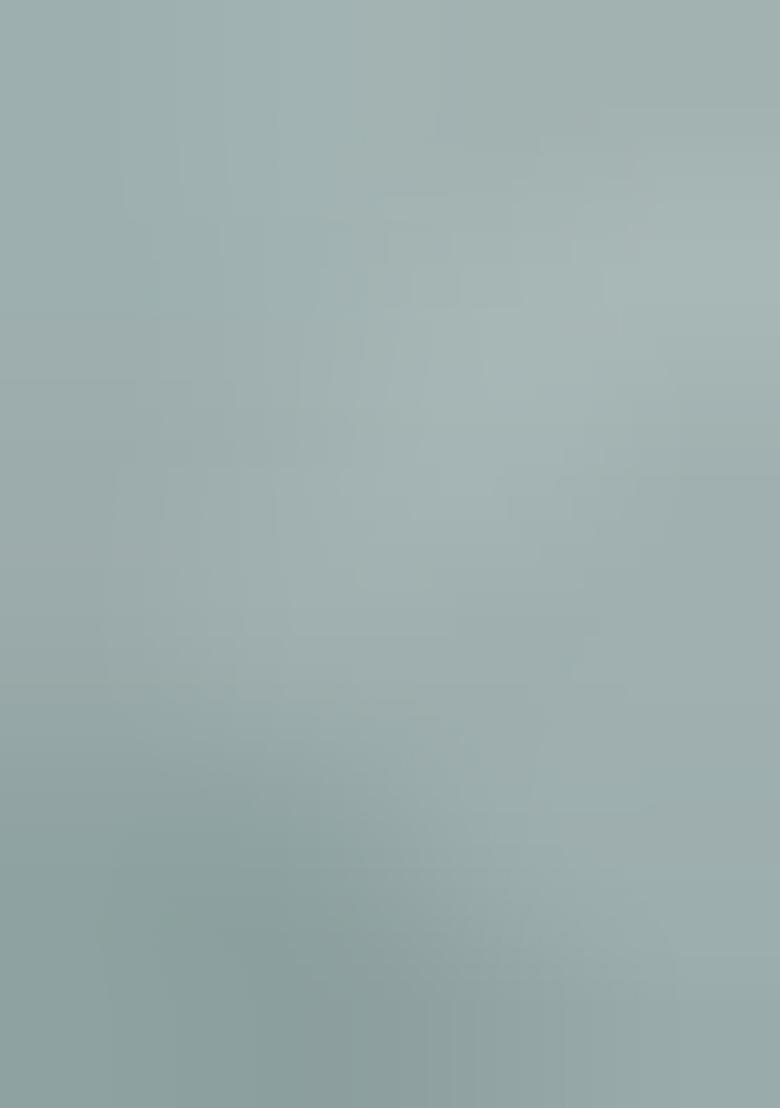 Blue Solid Tissu Net Saree Set