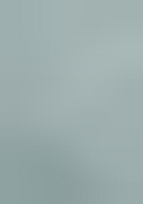 Blue Solid Tissu Net Saree Set