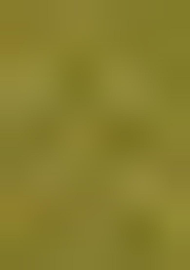 Pista Green Swarovski Zircon Work Satin Silk Saree Set