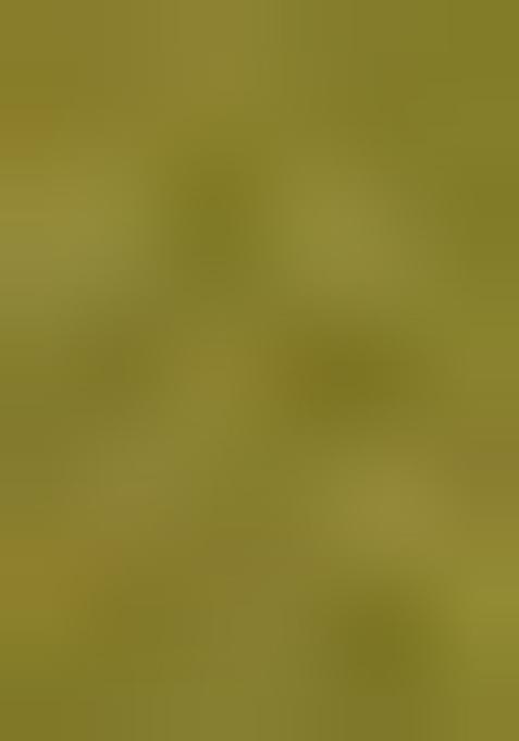 Pista Green Swarovski Zircon Work Satin Silk Saree Set