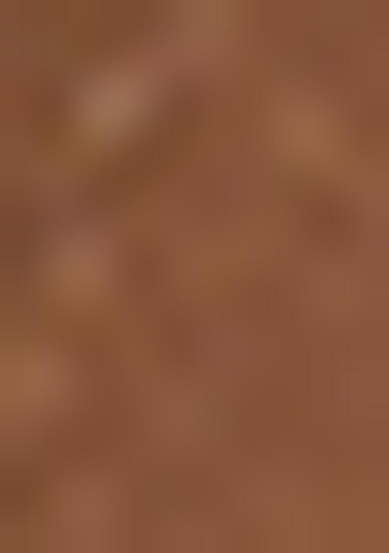 Beige Swarovski Zircon Work Satin Silk Saree Set