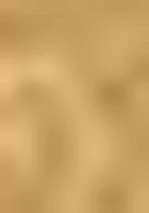 Gold Swarovski Zircon Work Satin Silk Saree Set