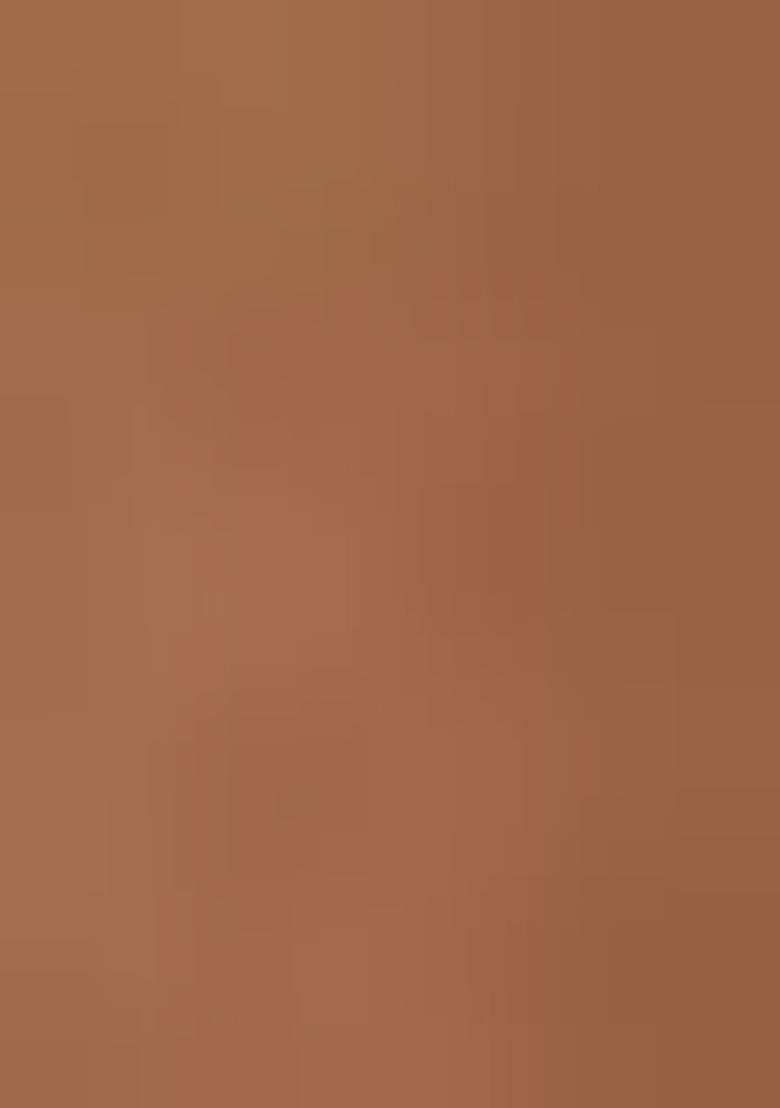 Chiku Brown Sequinned Georgette Saree Set