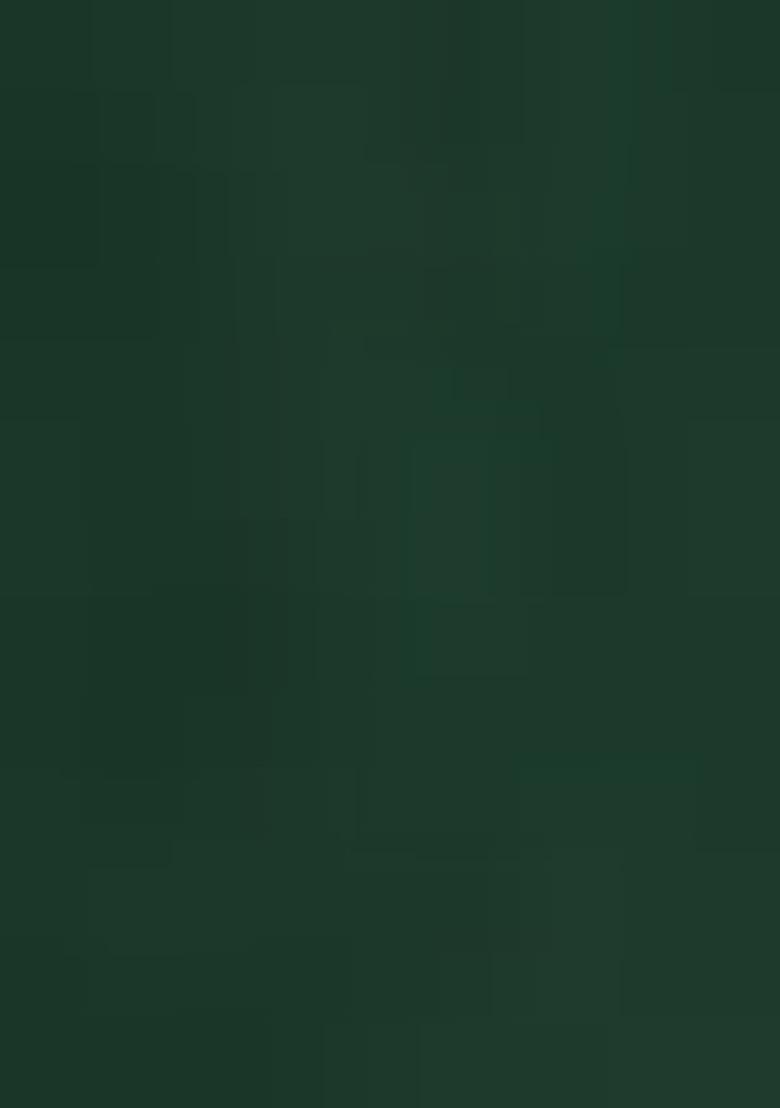 Green Sequinned Georgette Saree Set