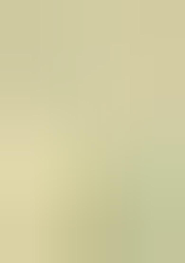 Pista Green Zari Woven Rangkat Bandhani Saree Rangkat Silk Saree Set