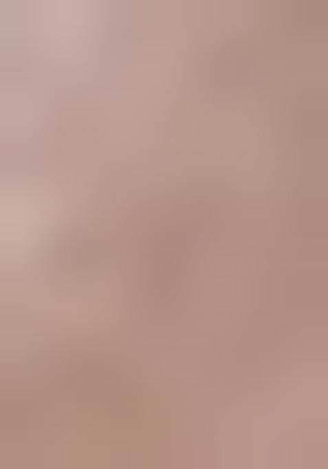 Grey Zari Woven Rangkat Organza Saree Organza Saree Set